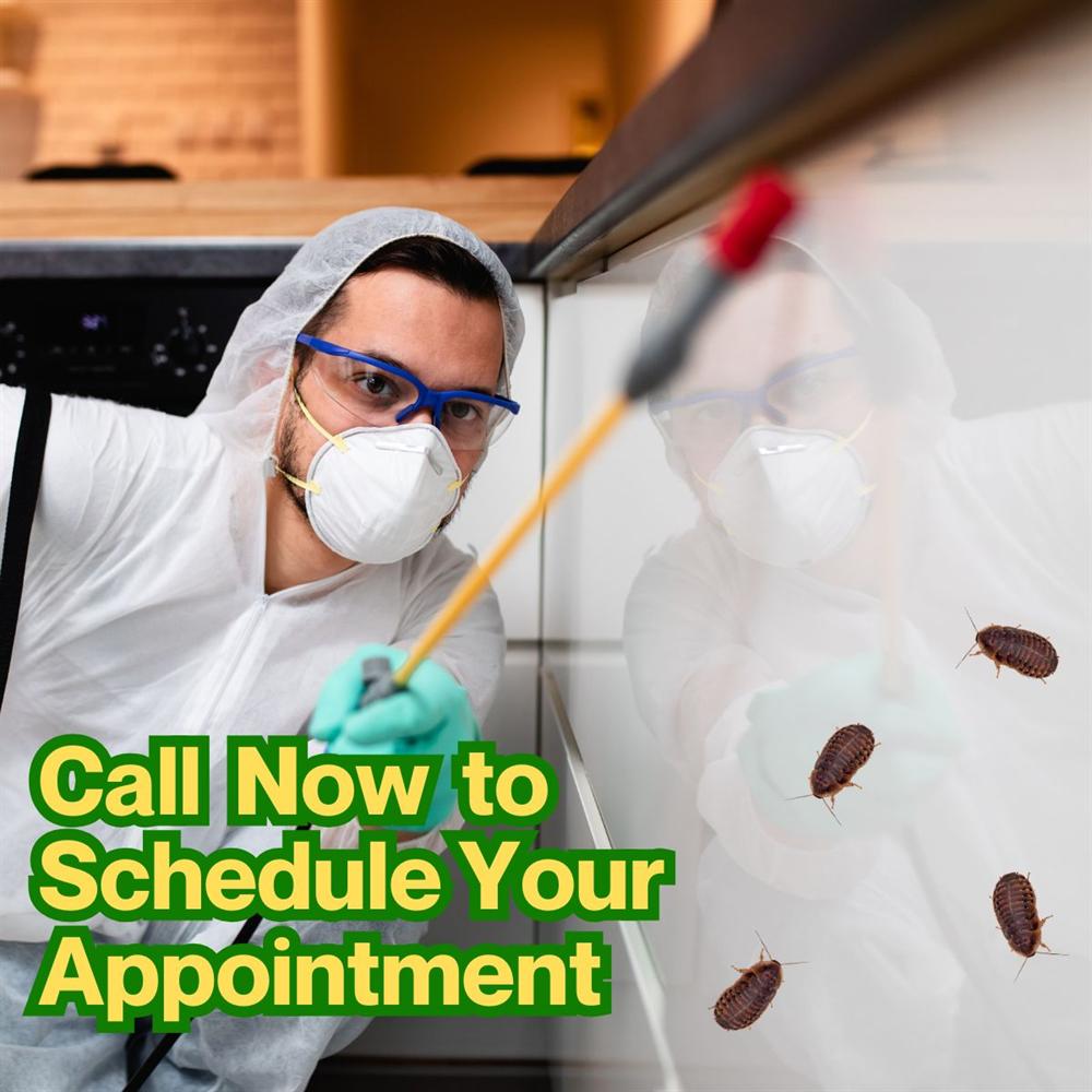 Pest service support team