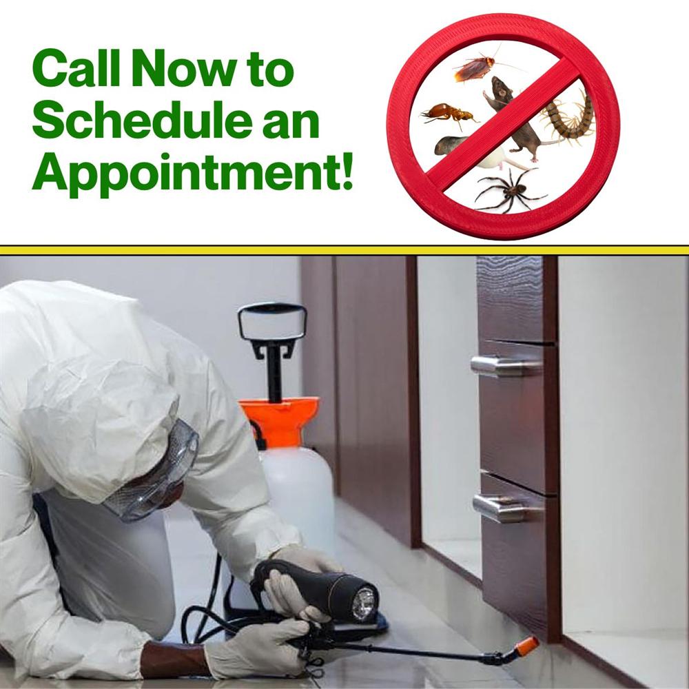 Schedule a pest control appointment by phone