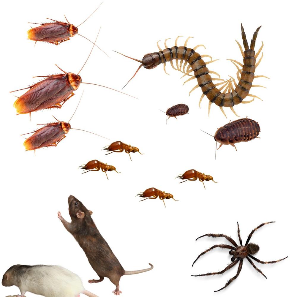 Keep pests away