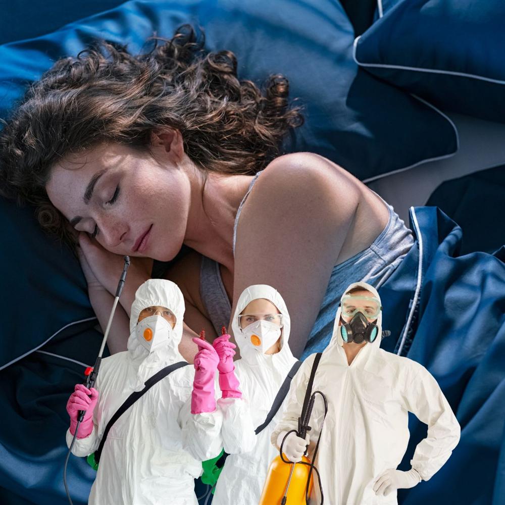 Sleep better at home with professional pest control guidance